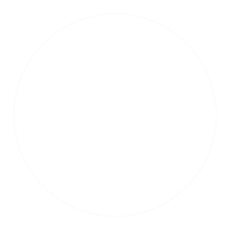 Bus Brothers – przewóz osób